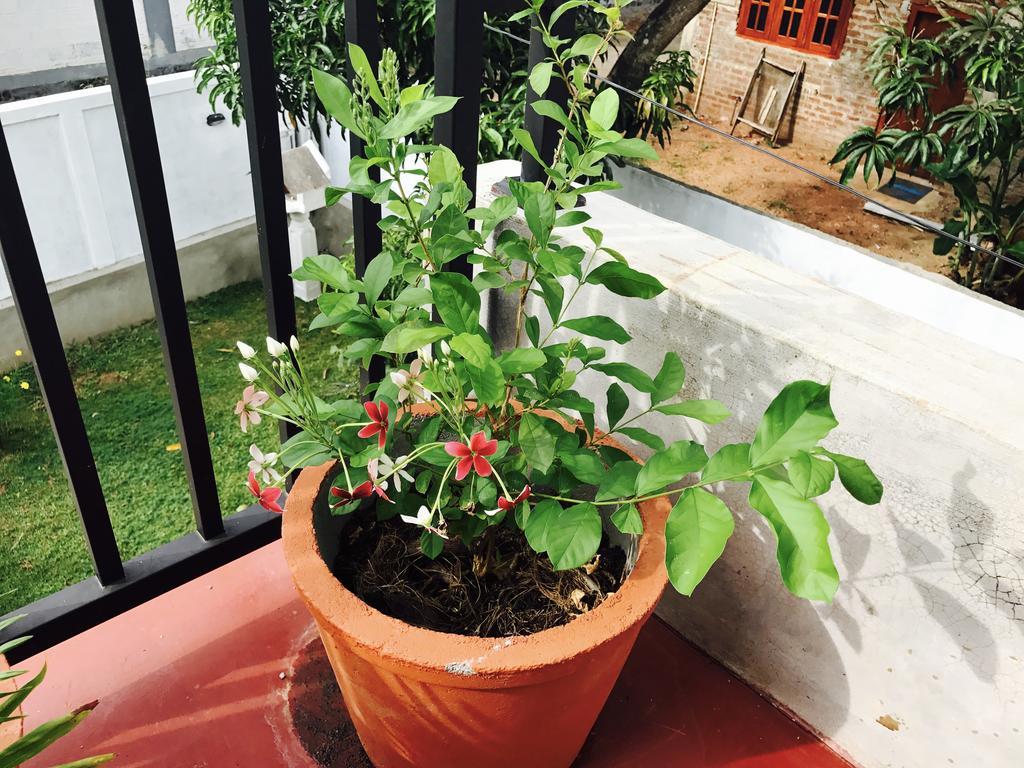 Sanasuma Rest Hotel Anuradhapura Luaran gambar